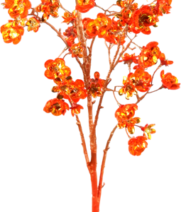 5833 BRANCHE FLORA LUXE ORANGE